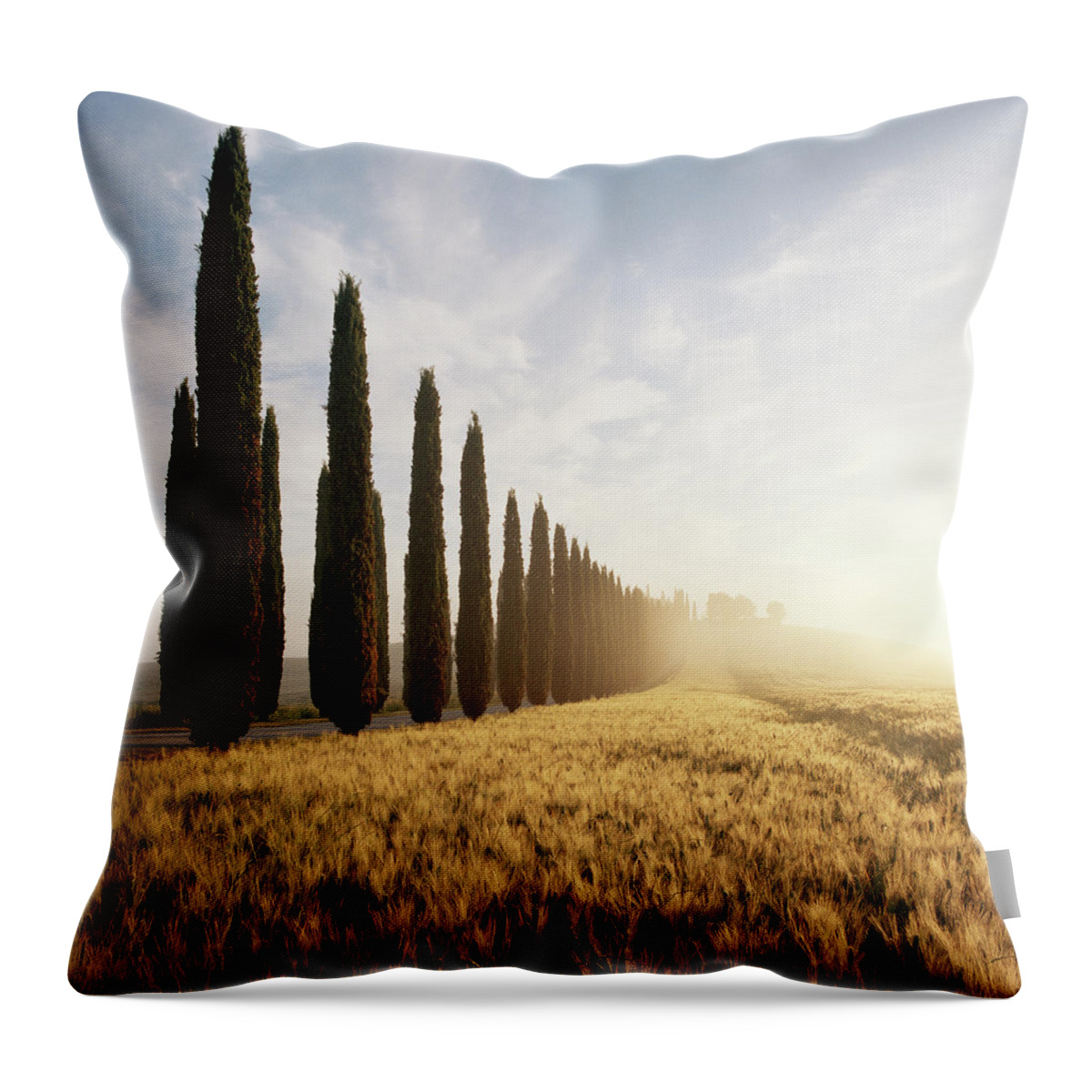 Val D'orcia Throw Pillow featuring the photograph Row Of Cypress Trees And Farmhouse At by Gary Yeowell