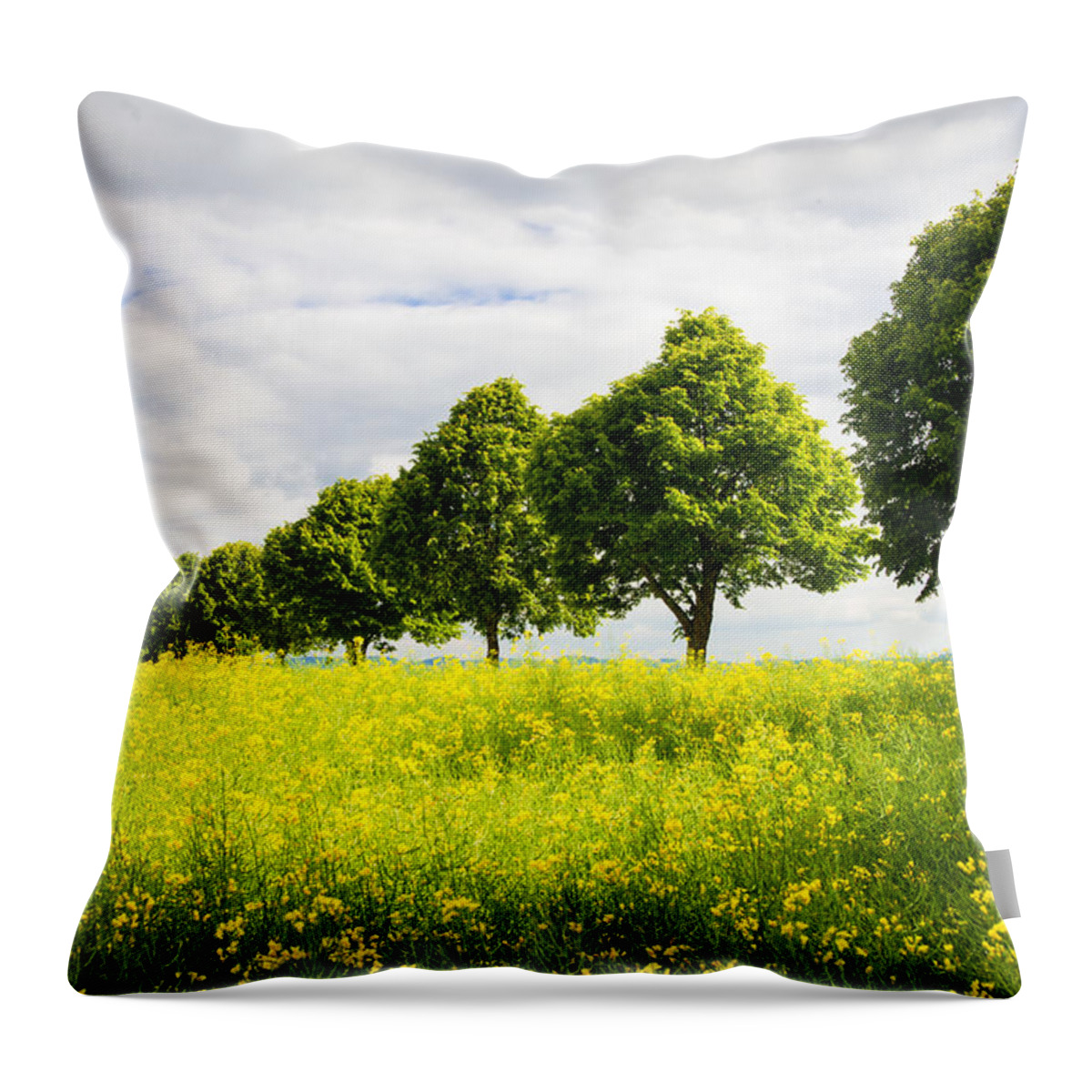 Trees Throw Pillow featuring the photograph Row of trees in spring landscape green and yellow by Matthias Hauser