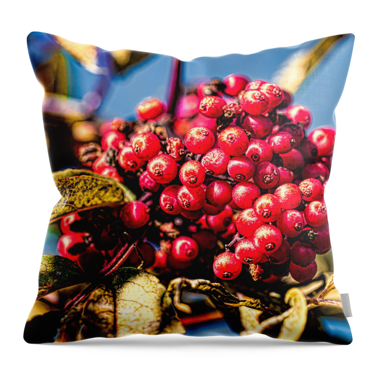 Berry Throw Pillow featuring the photograph Rowan berries by Leif Sohlman