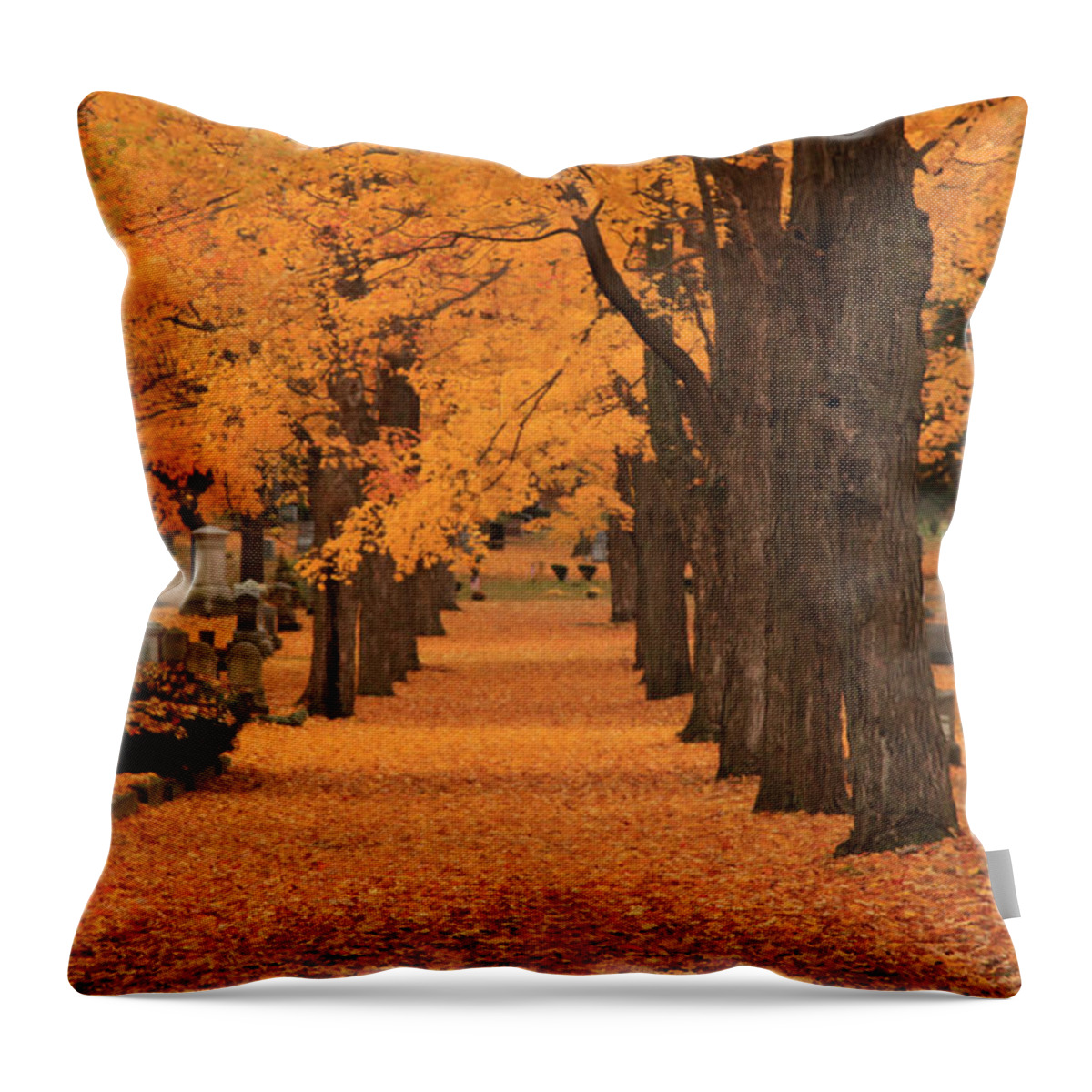 Autumn Foliage New England Throw Pillow featuring the photograph Rows of Maples in orange by Jeff Folger
