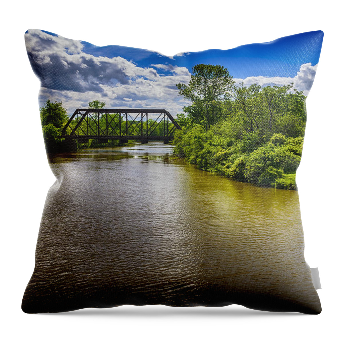 2013 Throw Pillow featuring the photograph Royal River by Mark Myhaver