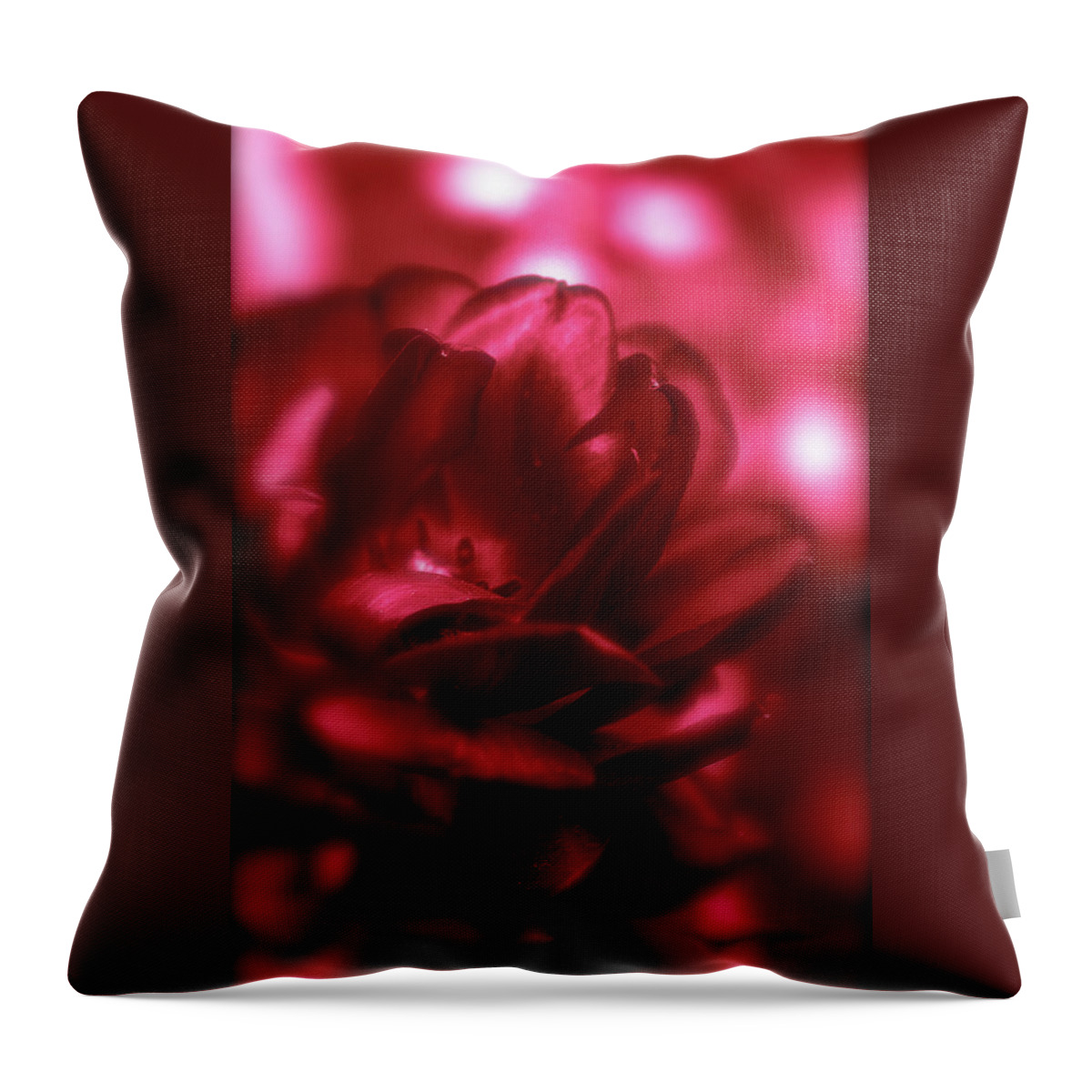 Ruby Throw Pillow featuring the photograph Ruby Red Dahlia with Bokeh by Femina Photo Art By Maggie