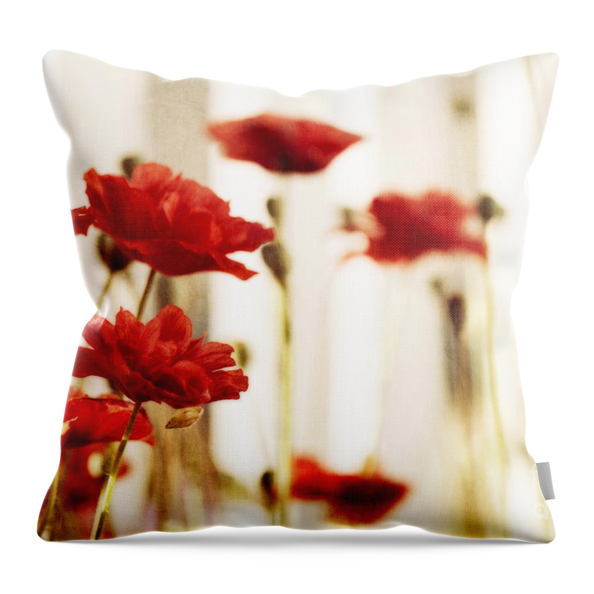 Poppy Throw Pillow featuring the photograph Ruby reds by Priska Wettstein