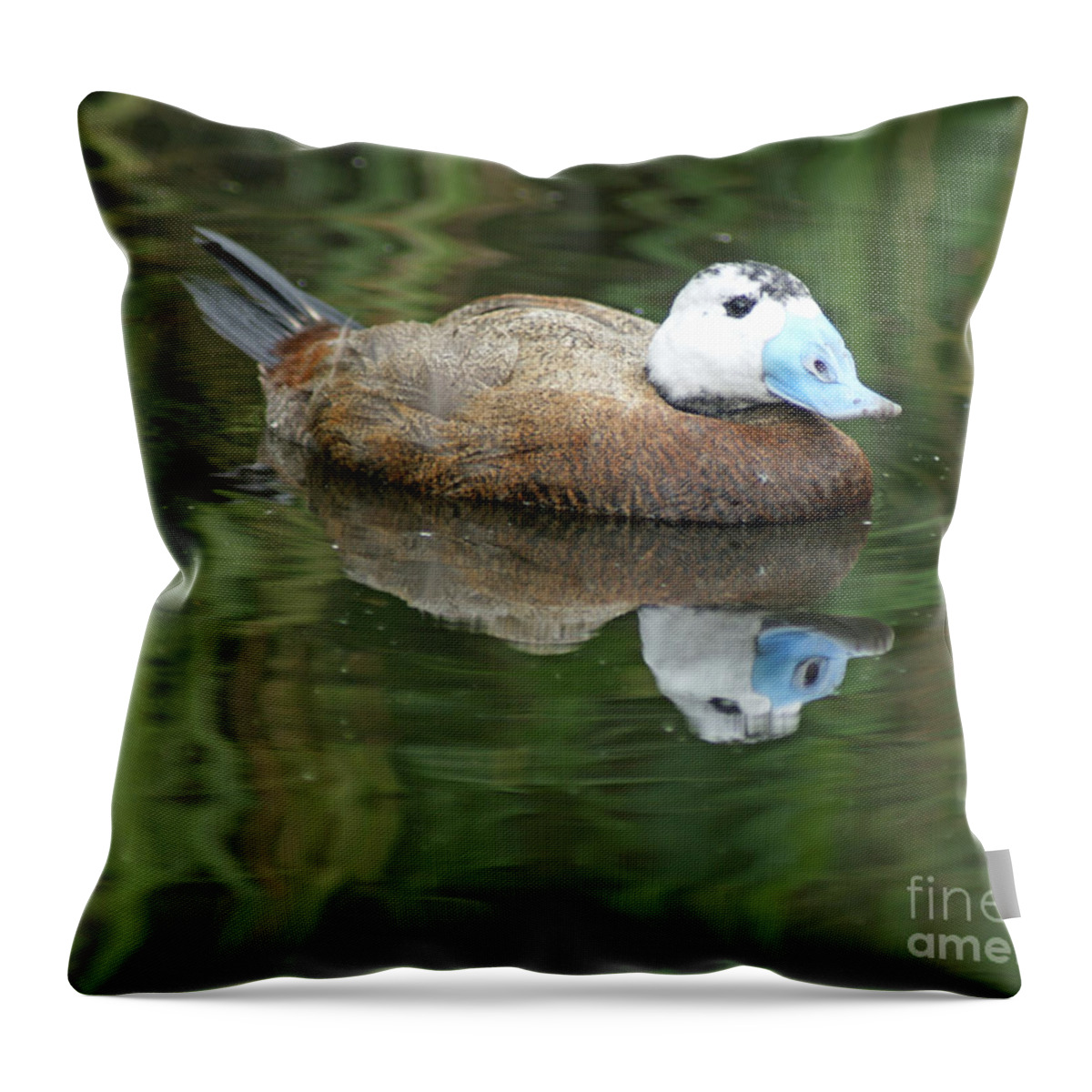 Ruddy Duck Throw Pillow featuring the photograph Ruddy Duck by David Birchall