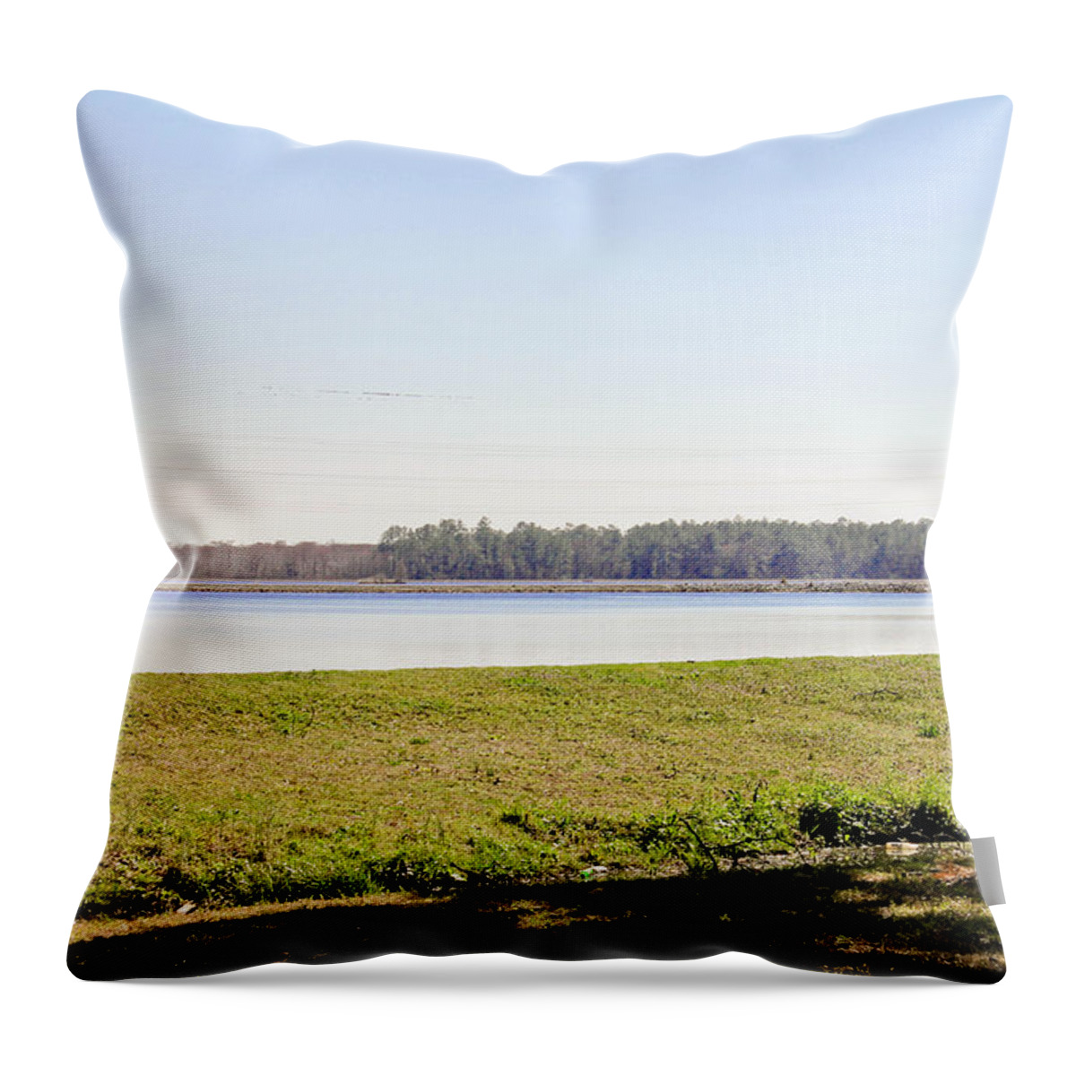 Water Throw Pillow featuring the photograph Runners Pace by Jessica Brown