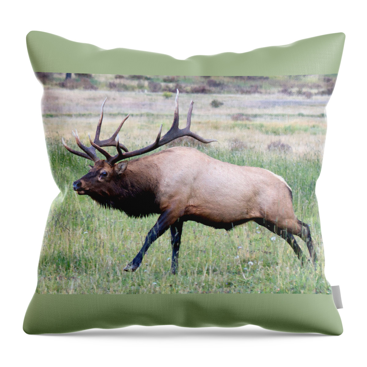 Horizontal Throw Pillow featuring the photograph Running Bull Elk by OLena Art by Lena Owens - Vibrant DESIGN