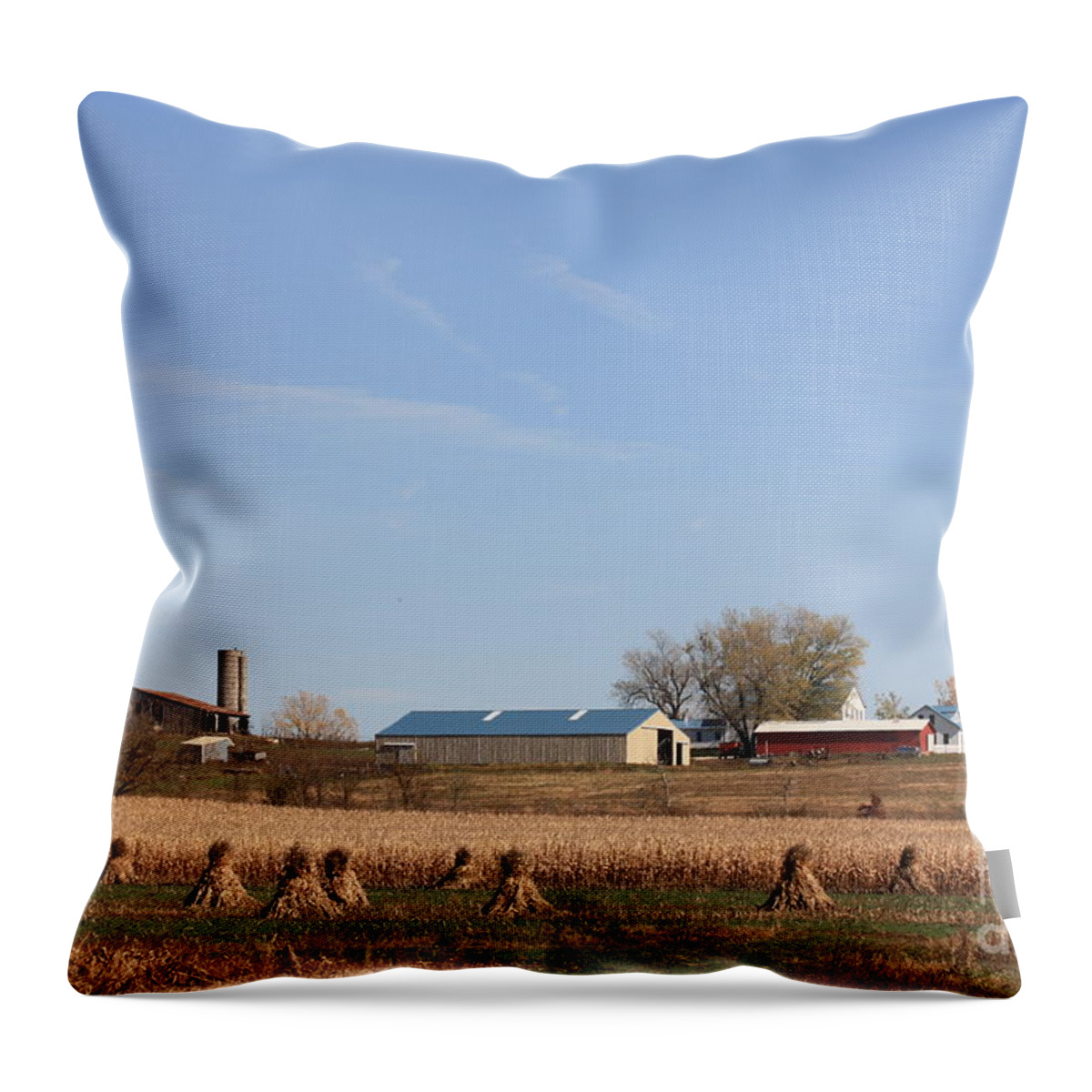Cornfield Throw Pillow featuring the photograph Rural America by Kathryn Cornett