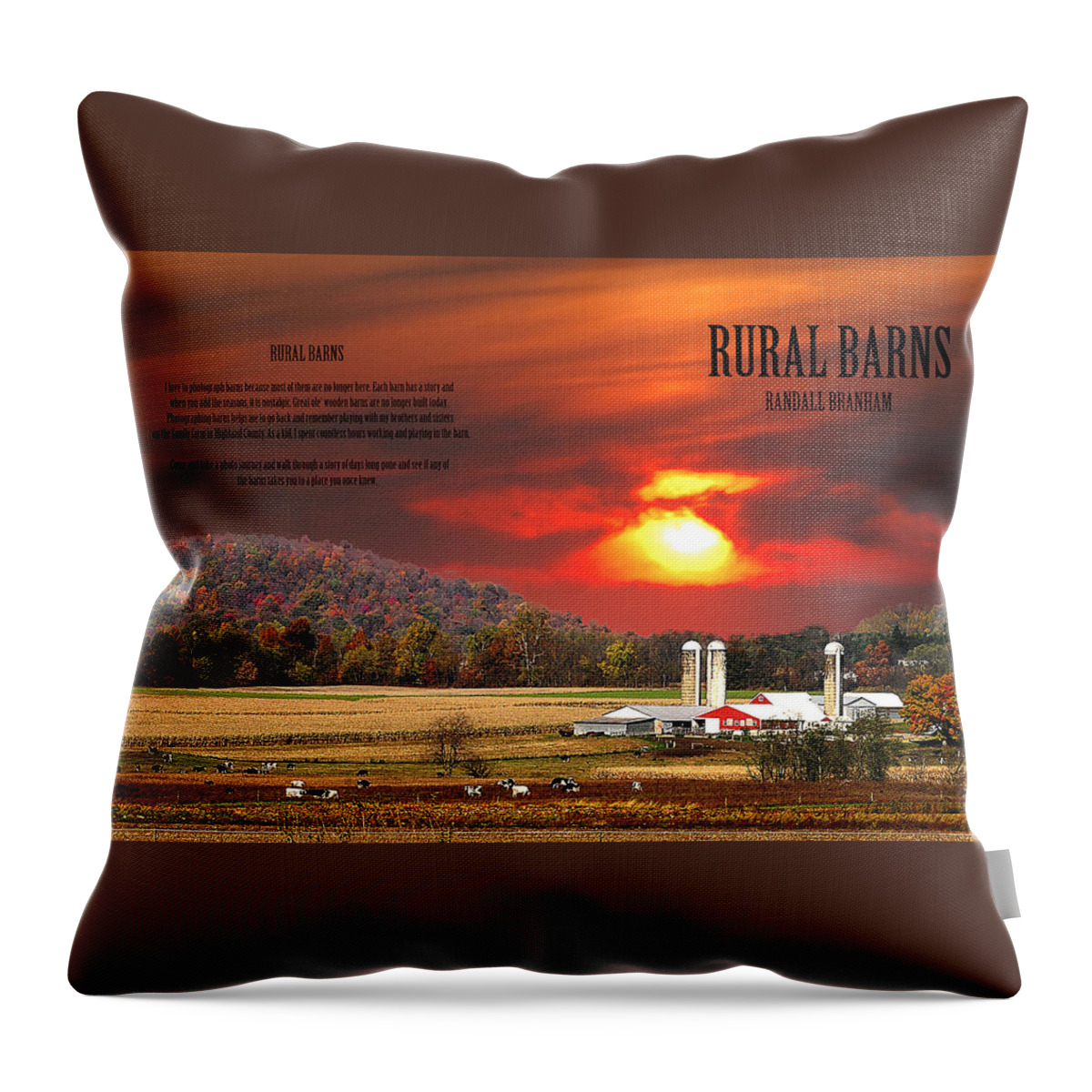 Rural Barns Throw Pillow featuring the photograph RURAL BARNS my BOOK COVER by Randall Branham