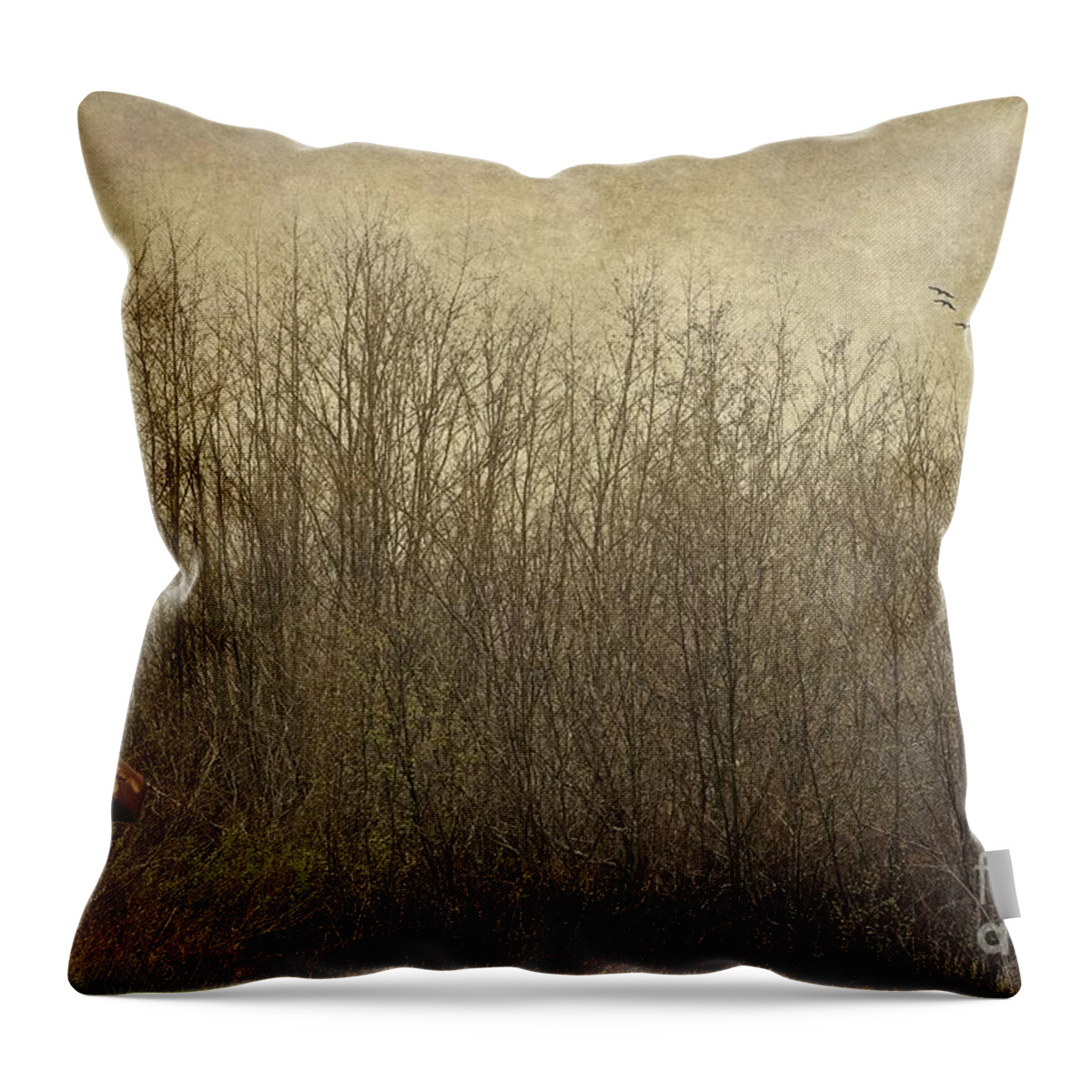 Maine Throw Pillow featuring the photograph Rural Mailbox by Karin Pinkham