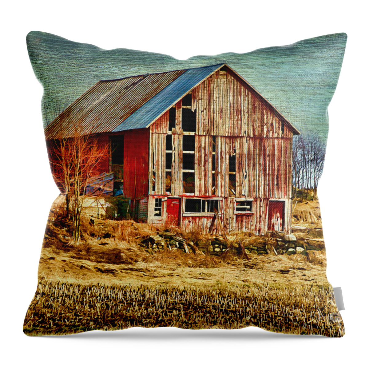 Rustic Throw Pillow featuring the photograph Rural Rustic Vermont Scene by Deborah Benoit