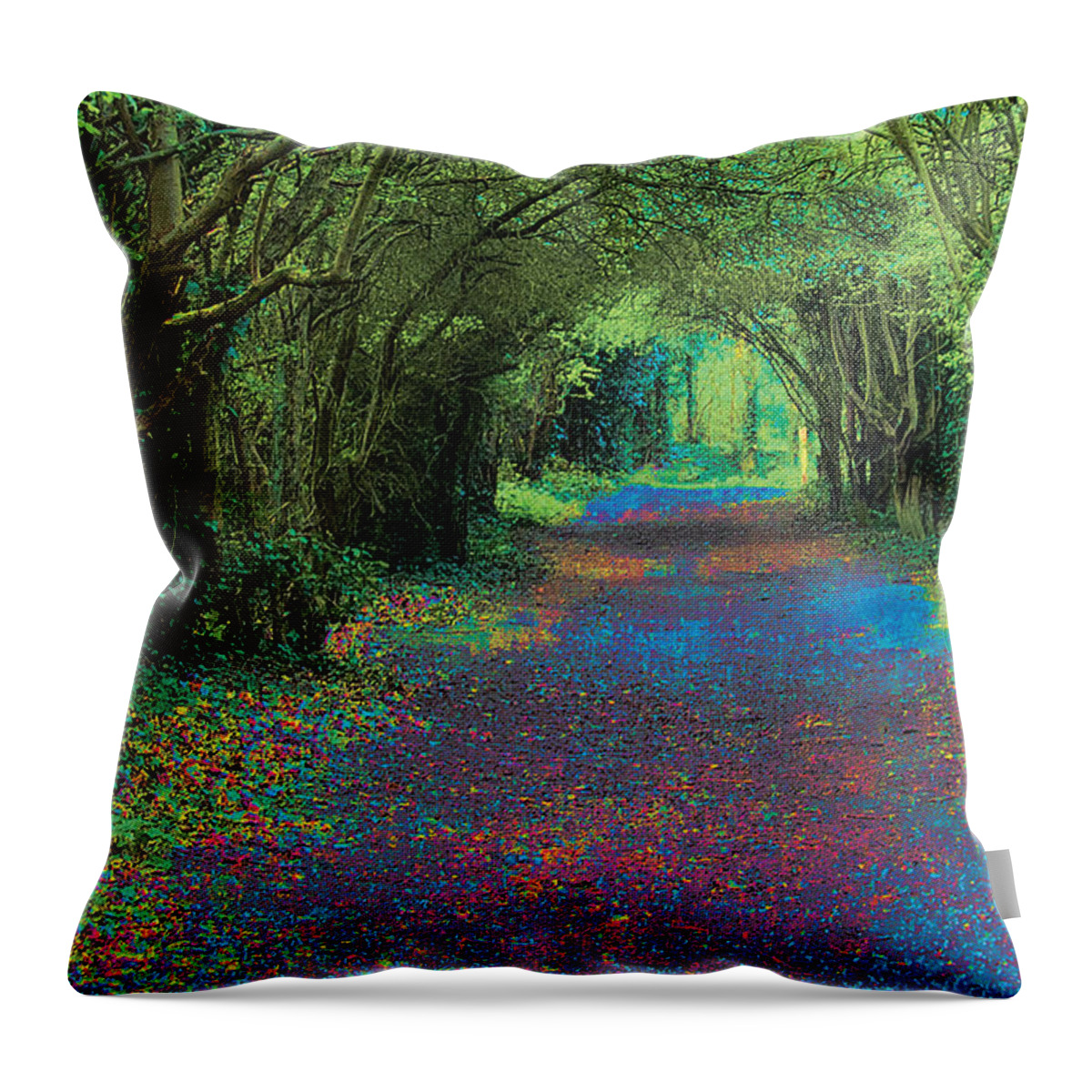 Footpath Photographs Throw Pillow featuring the photograph Rush Avenue by David Davies