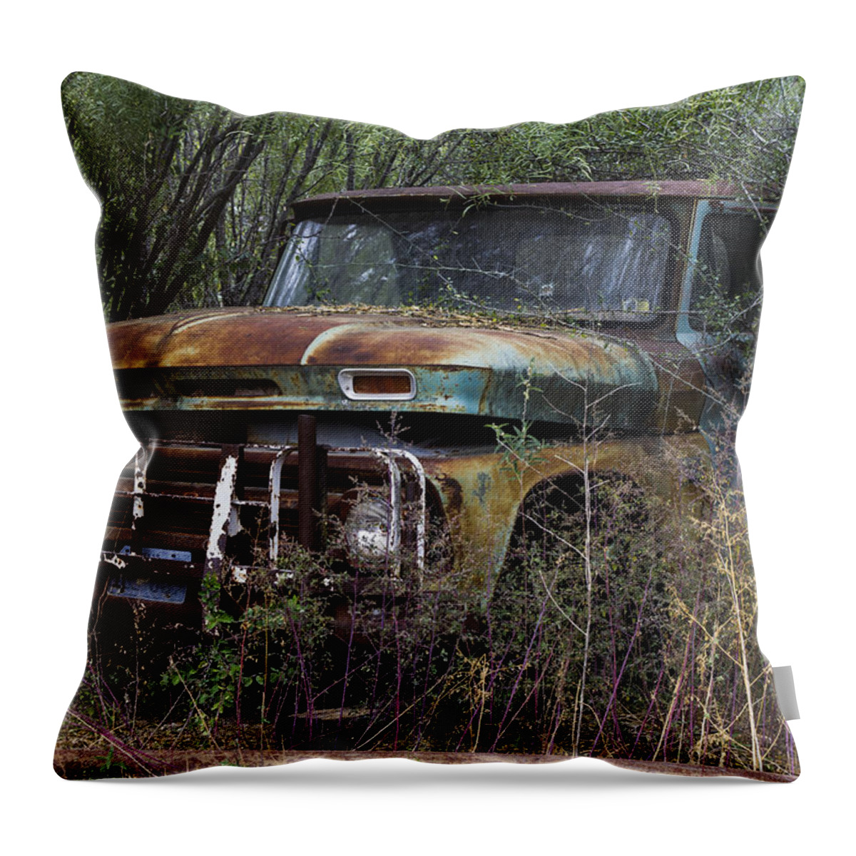 Texas Throw Pillow featuring the photograph Rust Bucket by Amber Kresge