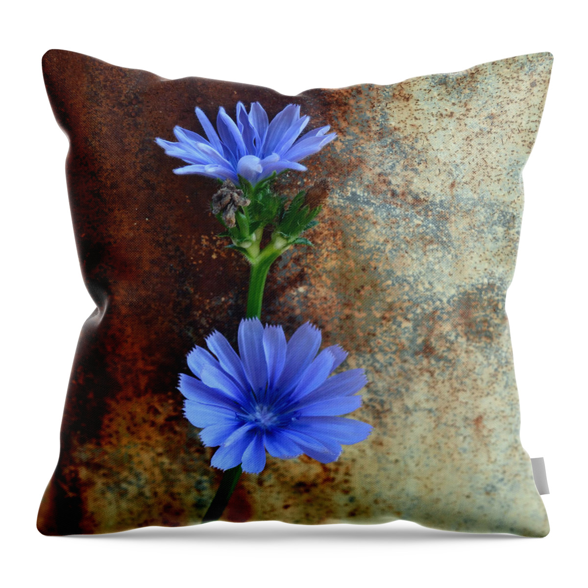 Rustic Bloom Throw Pillow featuring the photograph Rustic Bloom by Tom Druin
