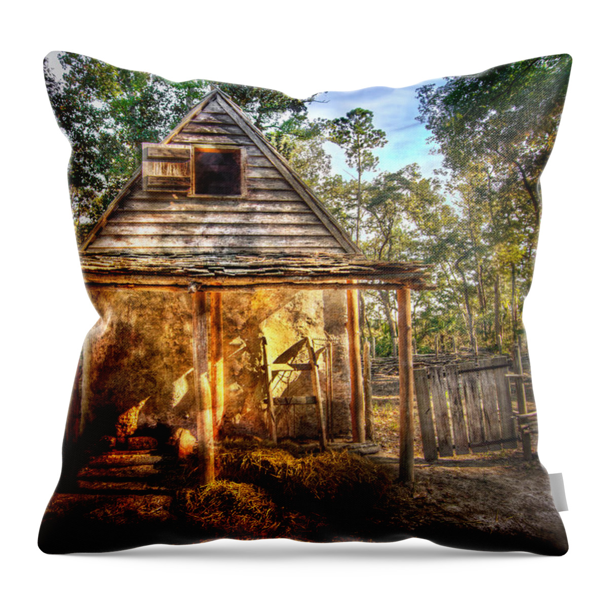 Wormsloe Throw Pillow featuring the photograph Rustic Cabin by Mark Andrew Thomas