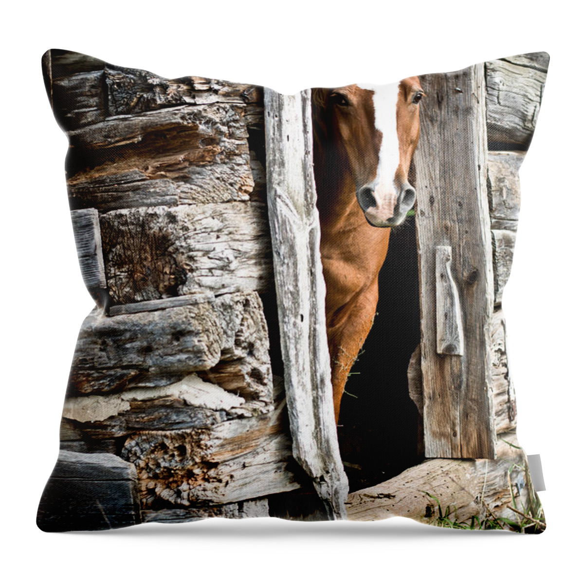  Throw Pillow featuring the photograph Rustic Horse Scene by Cheryl Baxter