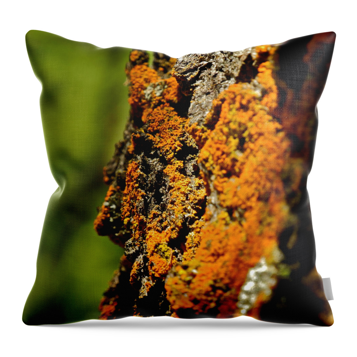 Pine Tree Throw Pillow featuring the photograph Rusty Moss and Green Bokeh by Kirsten Giving