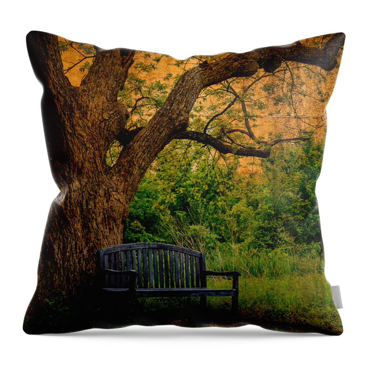 Art Throw Pillow featuring the photograph S O L I T U D E by Charles Dobbs