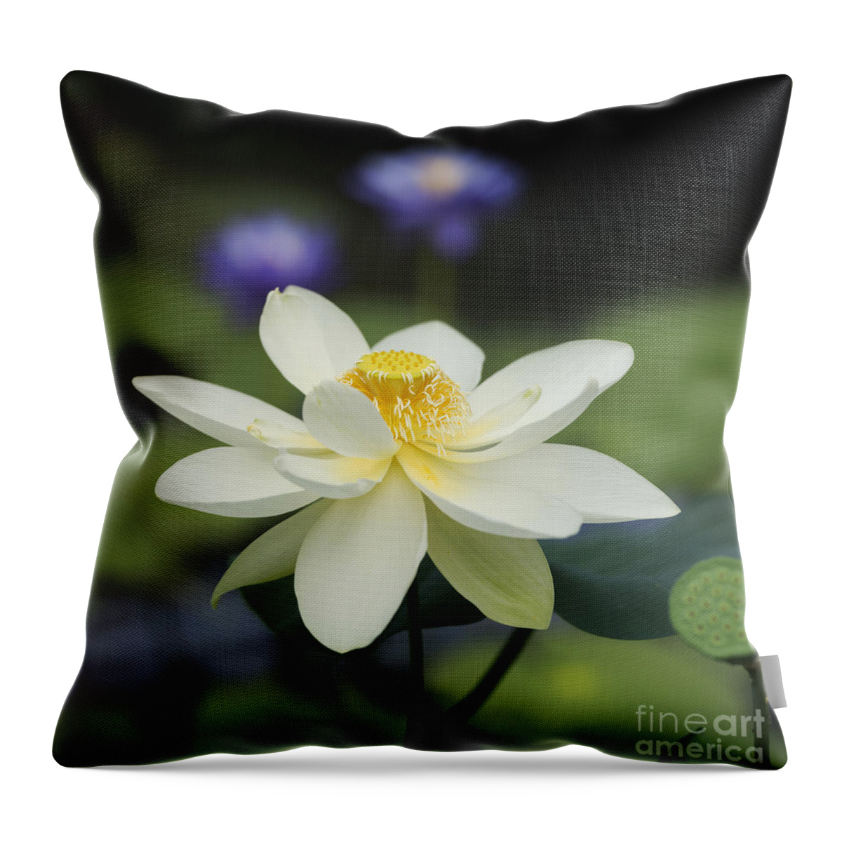 Nelumbo Nucifera Throw Pillow featuring the photograph Sacred Lotus by Tim Gainey