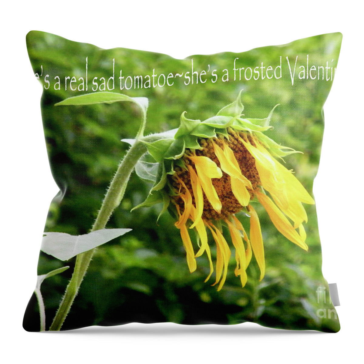 Sunflower Throw Pillow featuring the digital art Sad Tomatoe by Lizi Beard-Ward