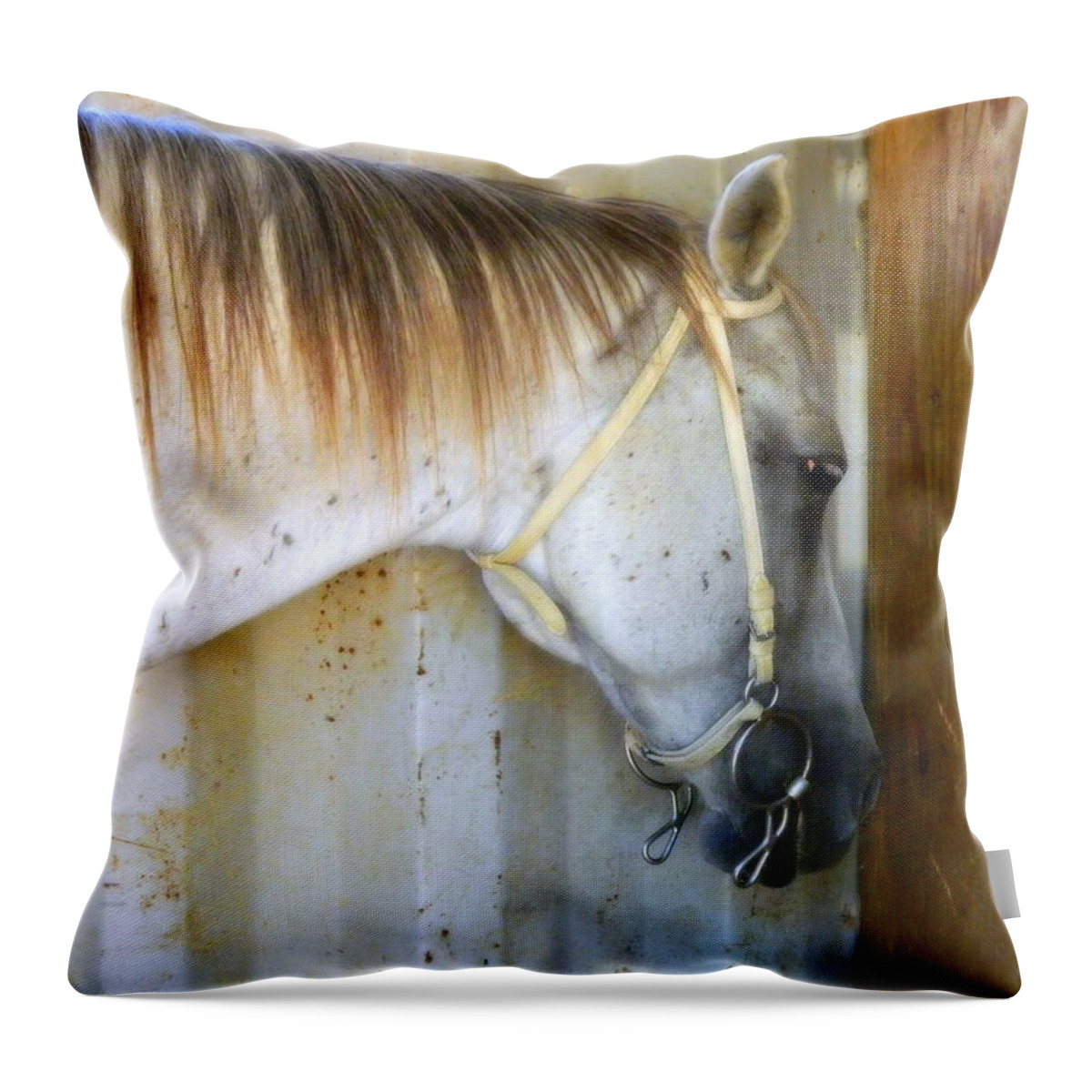 Horse Throw Pillow featuring the photograph Saddle Break by Kathy Barney