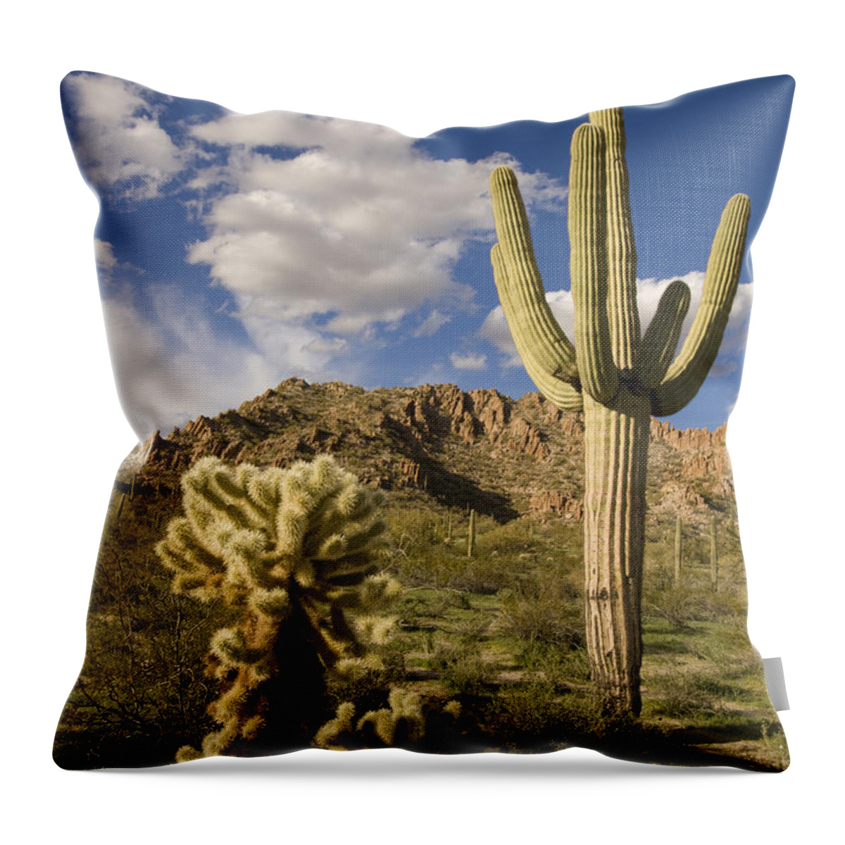 Feb0514 Throw Pillow featuring the photograph Saguaro Cactus In Desert Arizona by Tom Vezo