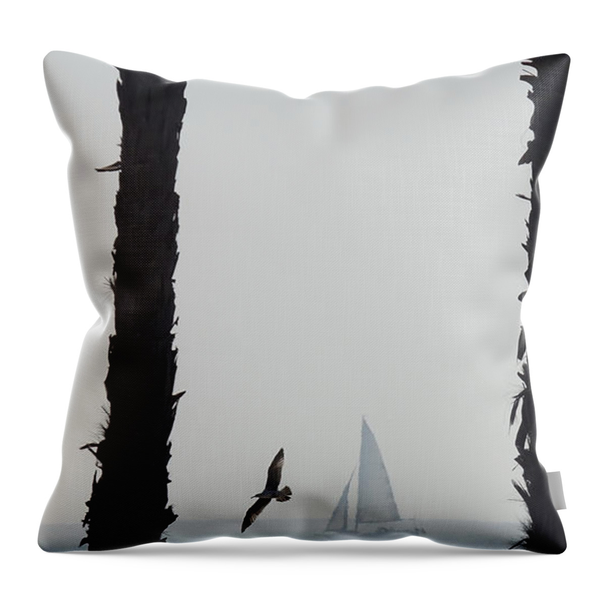 Boats Throw Pillow featuring the photograph Sailing By 2 by Ernest Echols