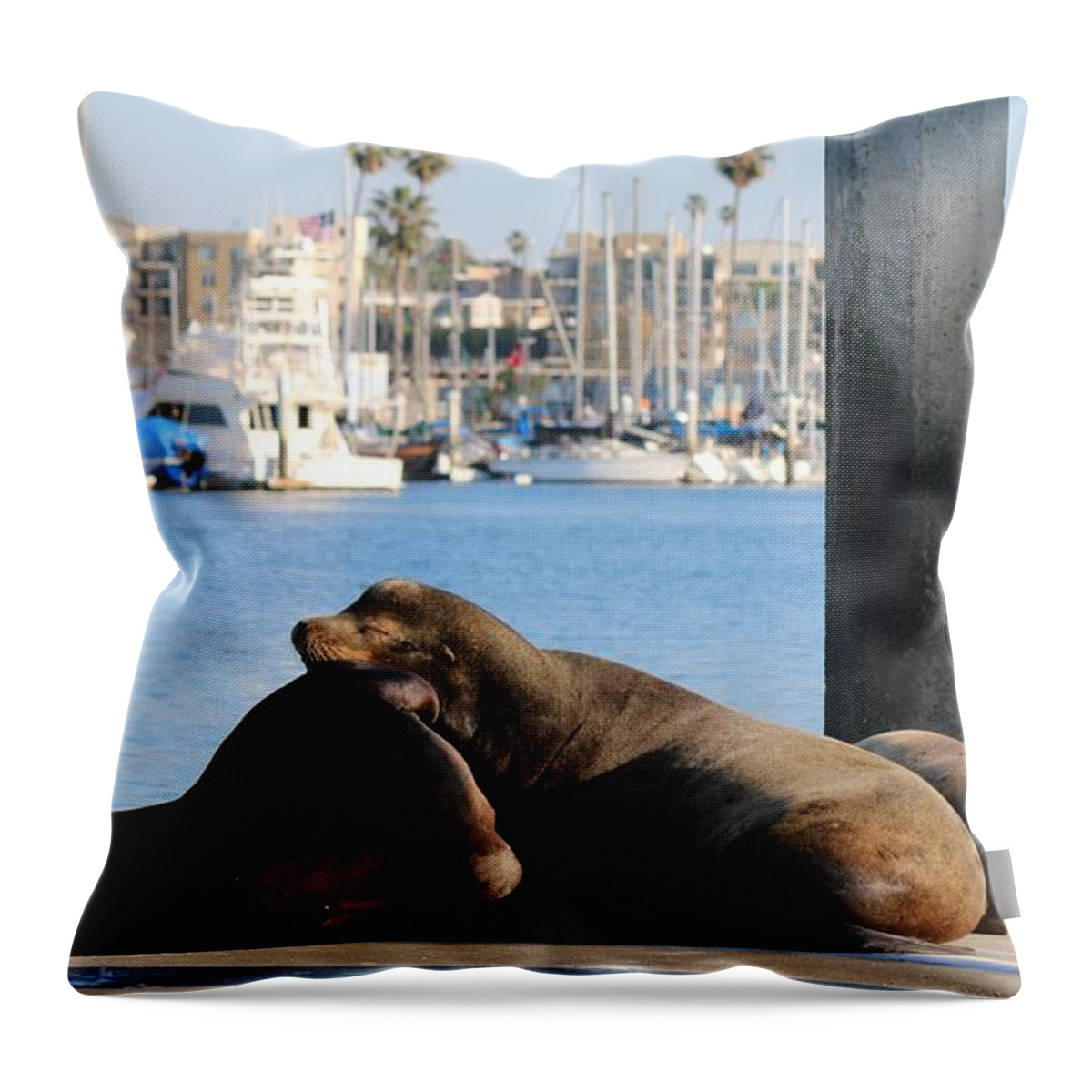 Sea Throw Pillow featuring the photograph Sailing Dreams by Christy Pooschke
