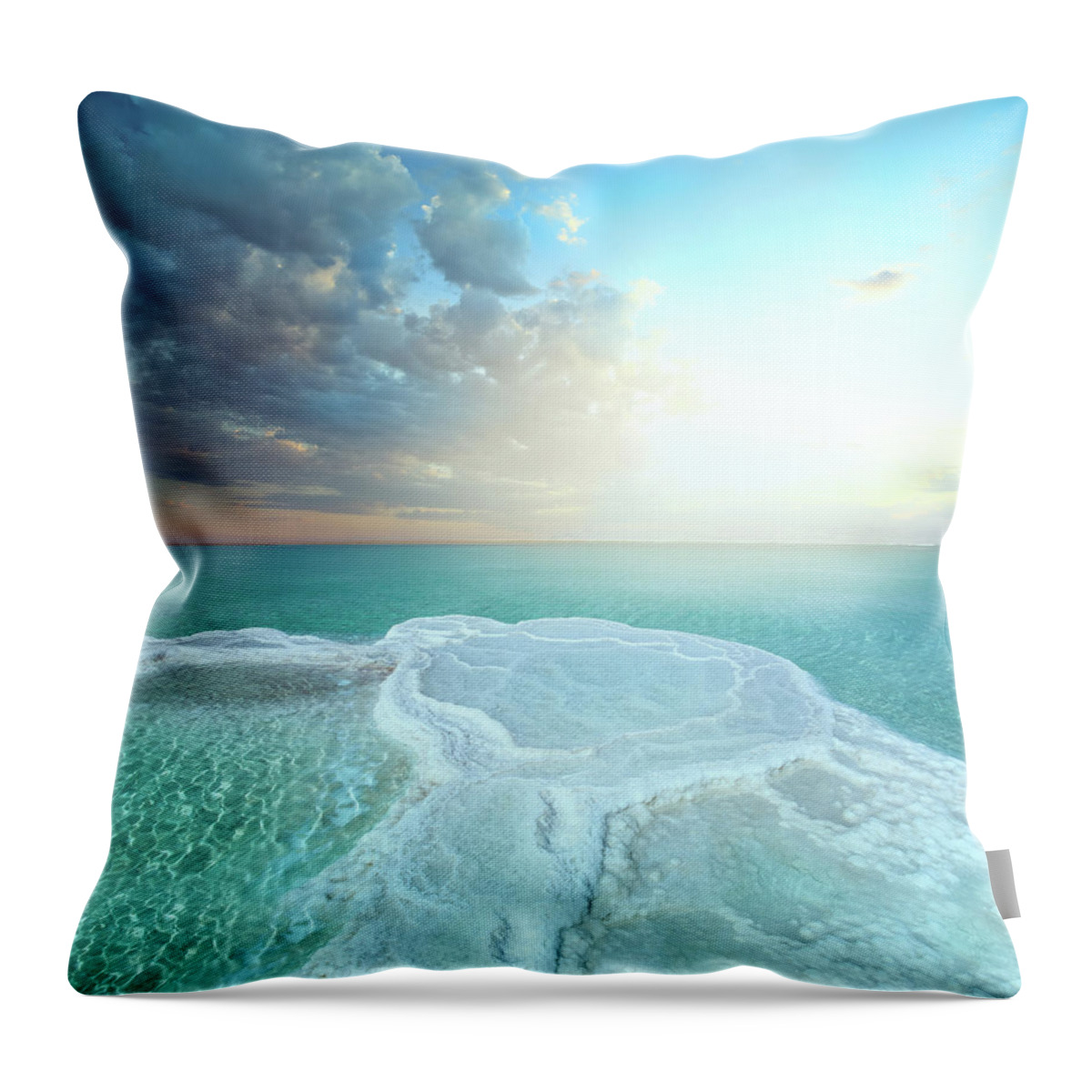 Mineral Throw Pillow featuring the photograph Salt Field In Dead Sea by Dtokar