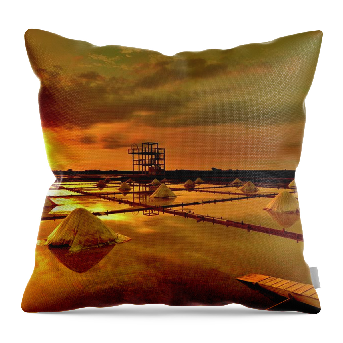 Tranquility Throw Pillow featuring the photograph Salt Field by Kai
