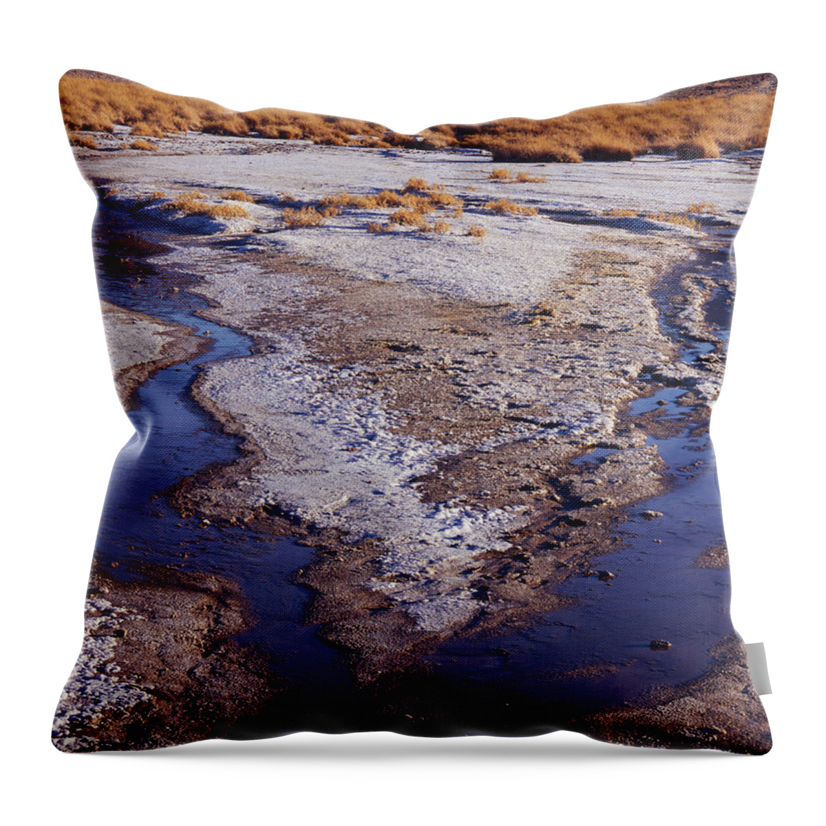 Nature Photography Throw Pillow featuring the photograph Salt Stream Confluence by Tom Daniel