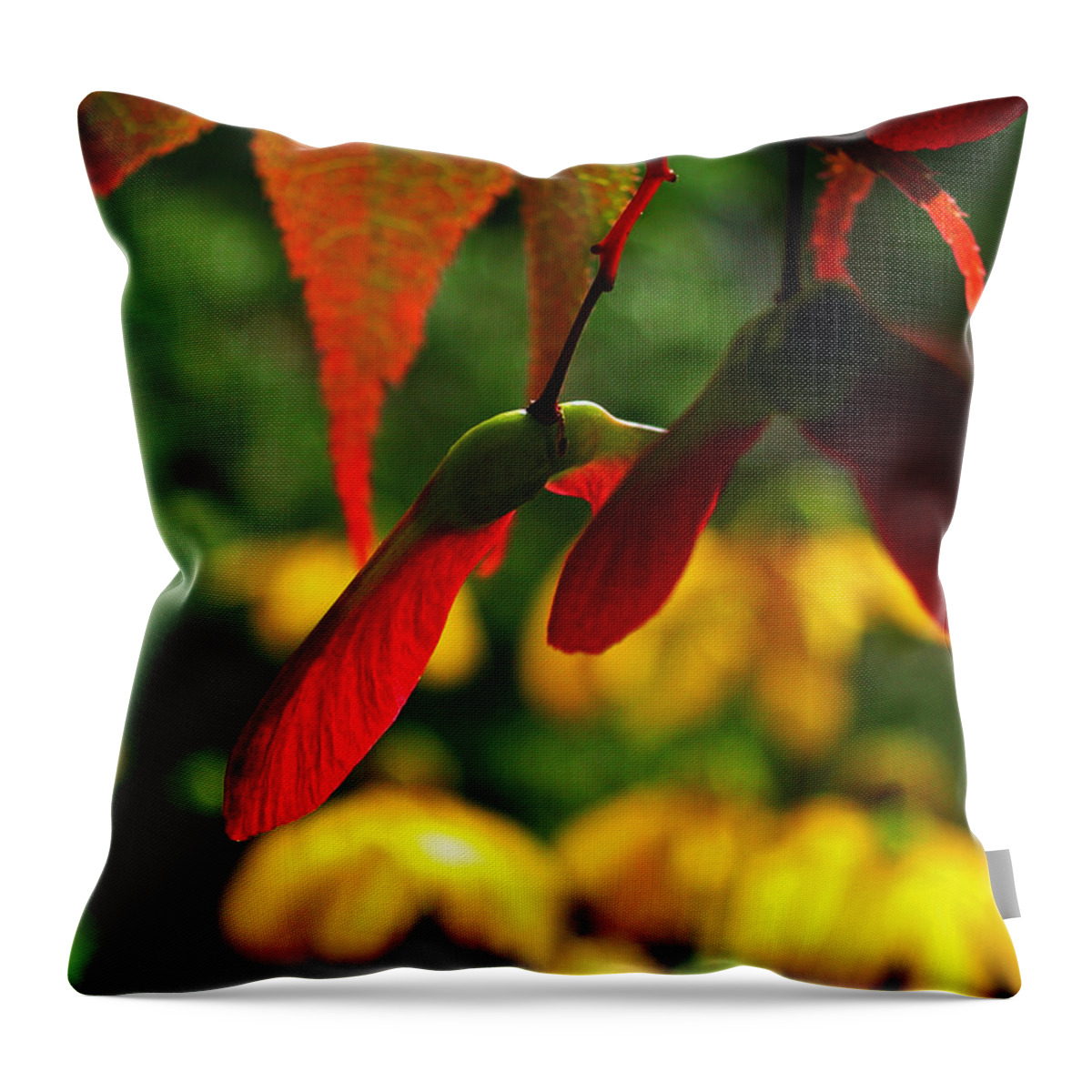 Tree Throw Pillow featuring the photograph Samara by Mike Kling