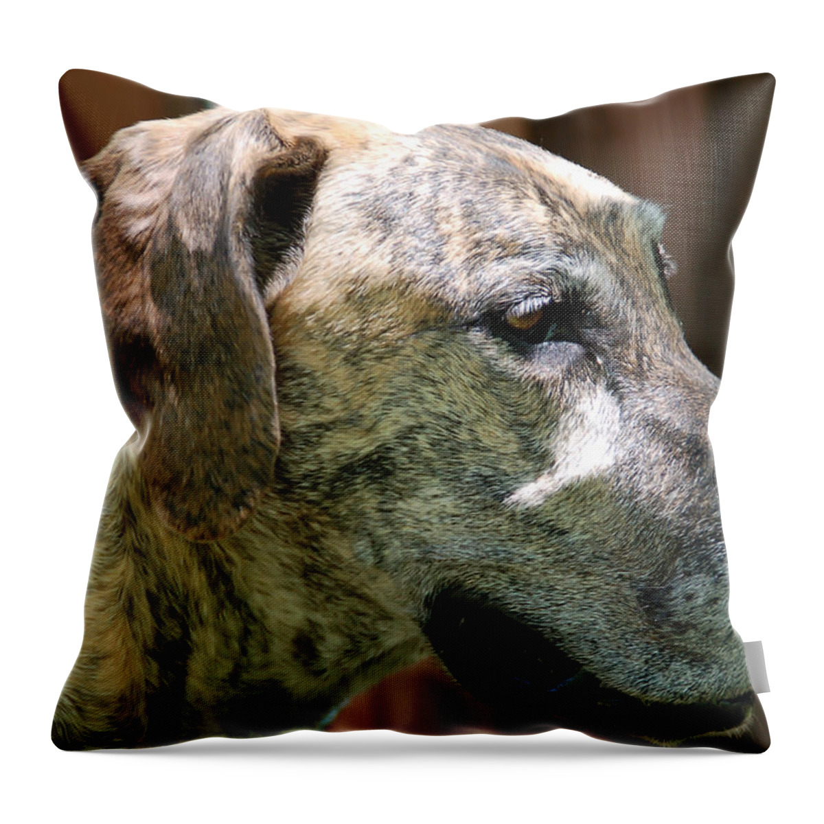 Great Dane Throw Pillow featuring the photograph Sammy by Aimee L Maher ALM GALLERY