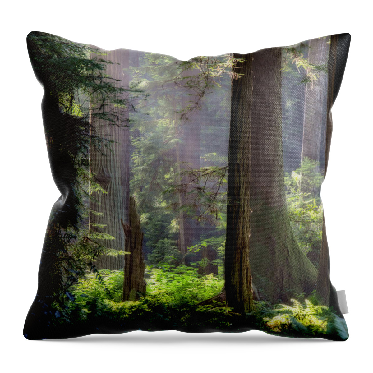 Tree Throw Pillow featuring the photograph Sanctuary by Mark Alder