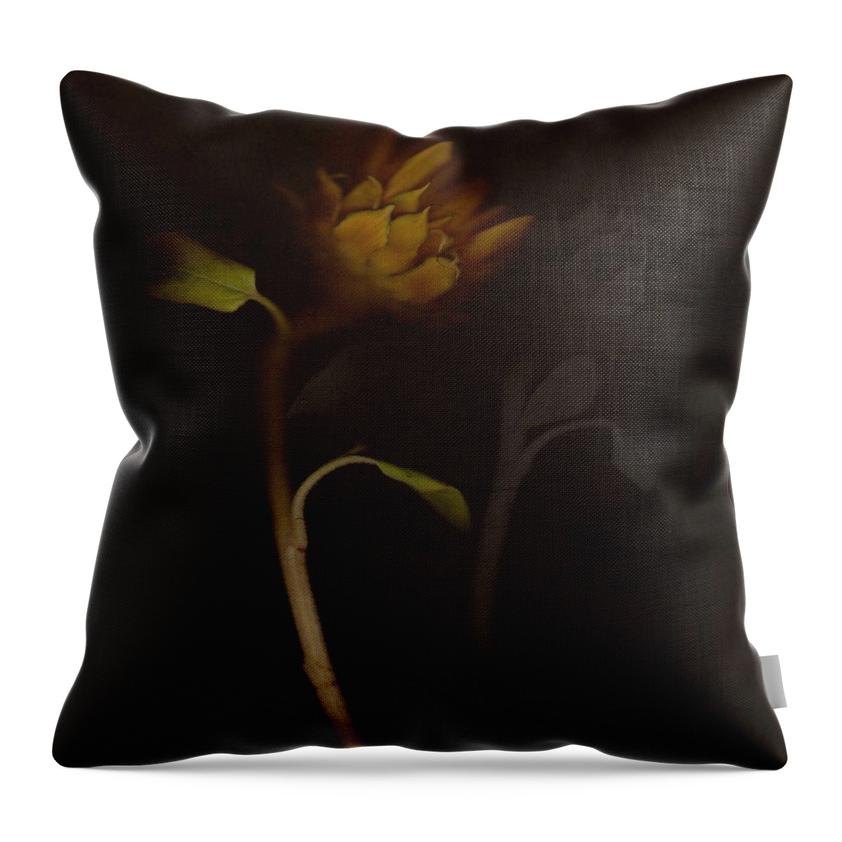 Flower Throw Pillow featuring the photograph Sanctuary by Mark Ross