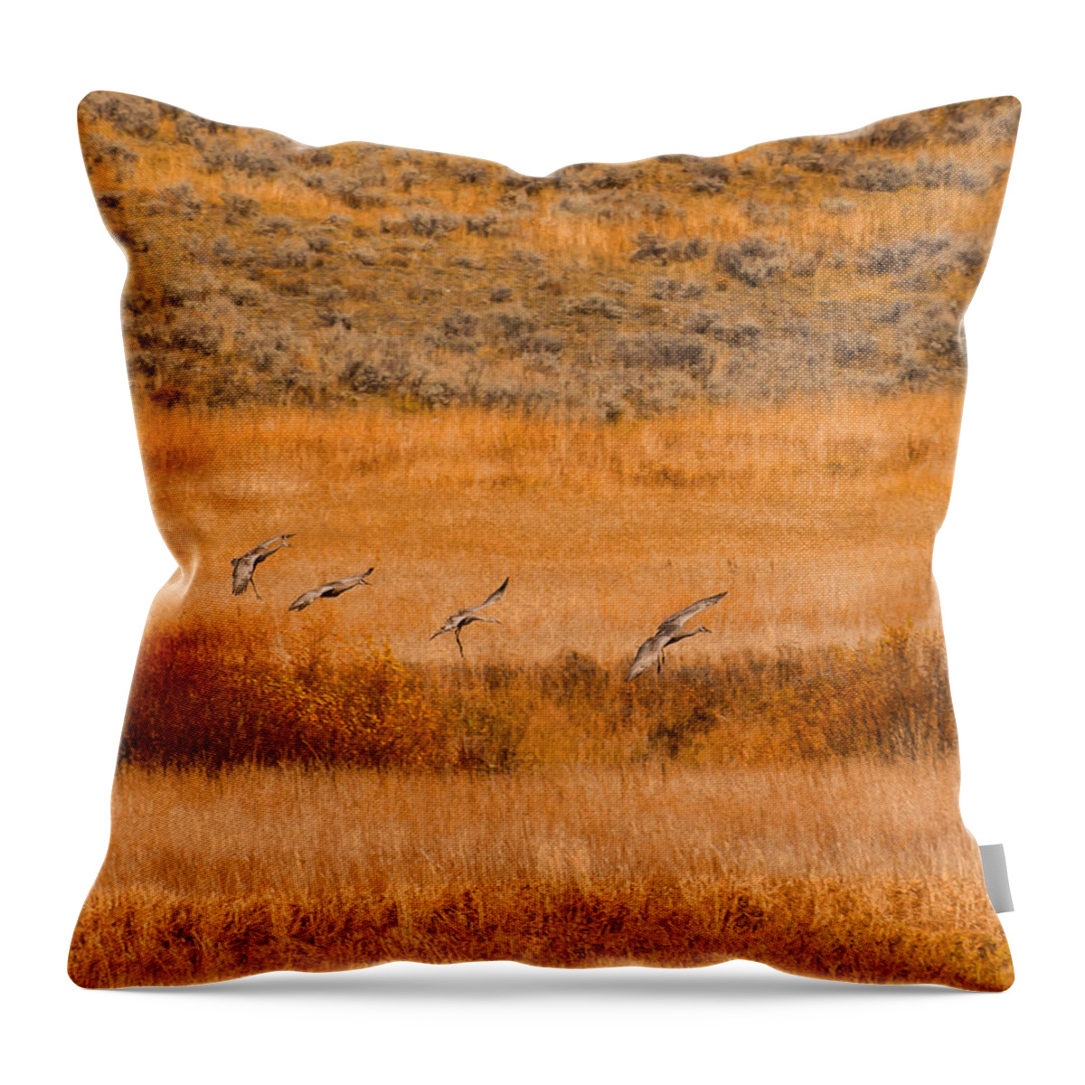 Birds Throw Pillow featuring the photograph Sand Hill Cranes at Slough Creek Yellowstone by Brenda Jacobs