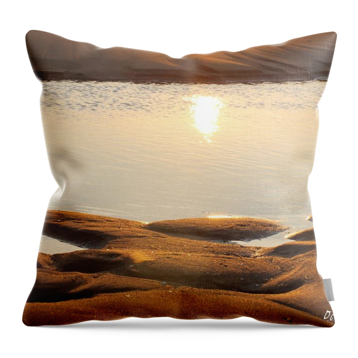 Sun Reflection Throw Pillow featuring the photograph Sand Shine by Robert Banach