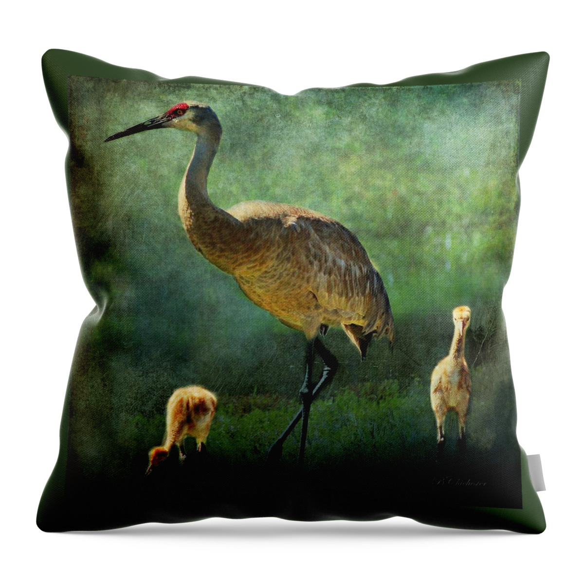 Sandhill Crane Throw Pillow featuring the painting Sandhill and Chicks by Barbara Chichester