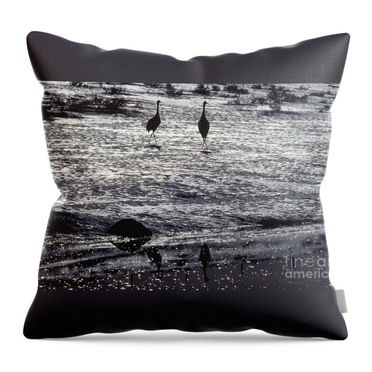Sand Hill Cranes Throw Pillow featuring the photograph Sandhill Cranes black and white by Edward R Wisell
