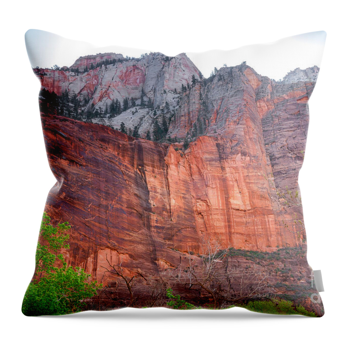 Zion National Parks Throw Pillow featuring the photograph Sandstone Wall in Zion by Robert Bales