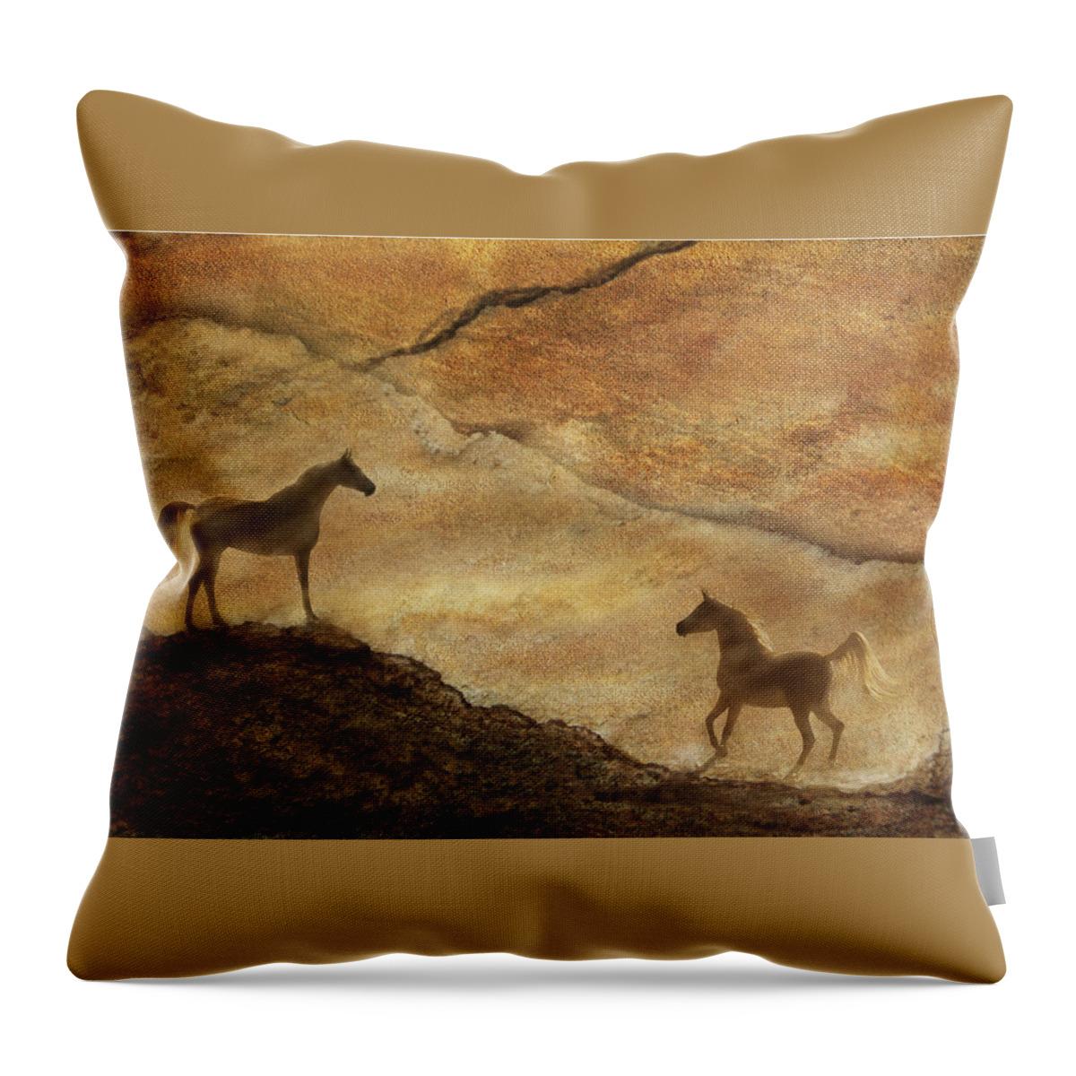 Sand Throw Pillow featuring the photograph Sandstorm by Melinda Hughes-Berland