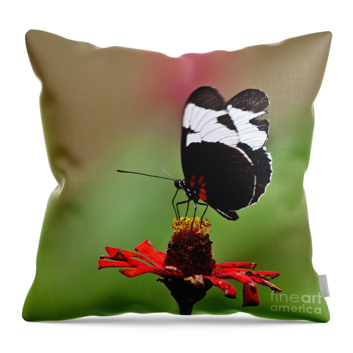 Heiko Throw Pillow featuring the photograph Sapho longwing red oriented by Heiko Koehrer-Wagner
