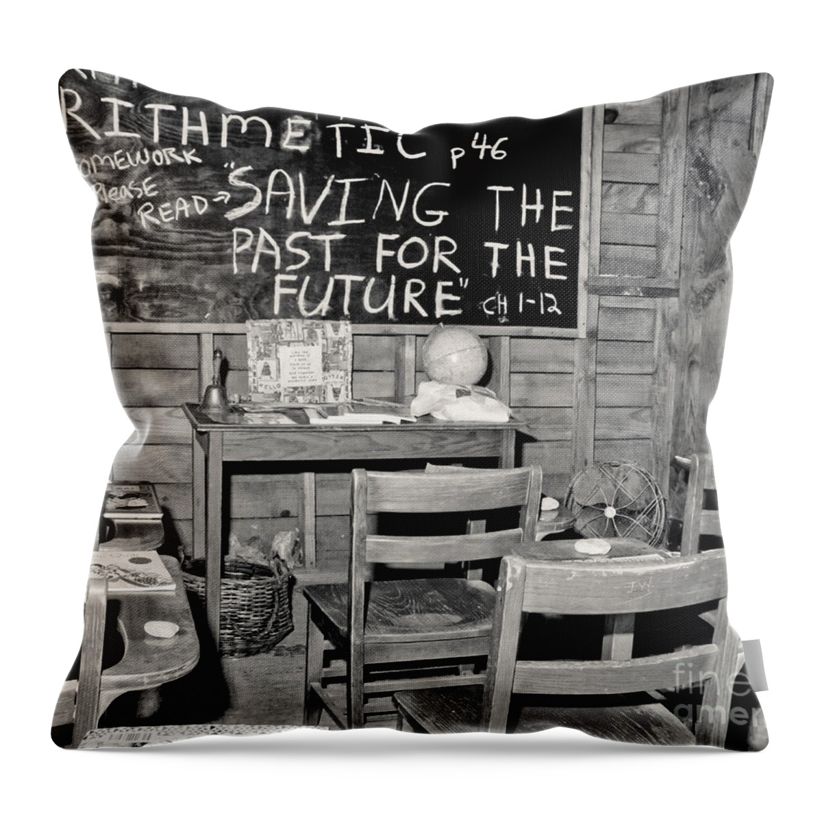 School Throw Pillow featuring the photograph School by Robert Frederick