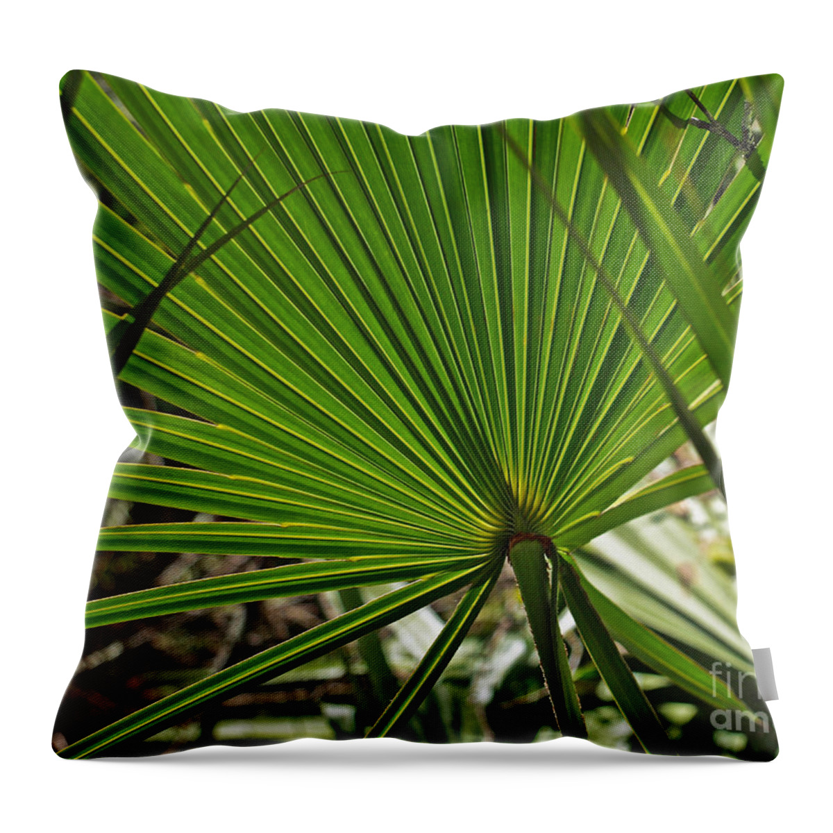 America Throw Pillow featuring the photograph Saw Palmetto by Howard Stapleton