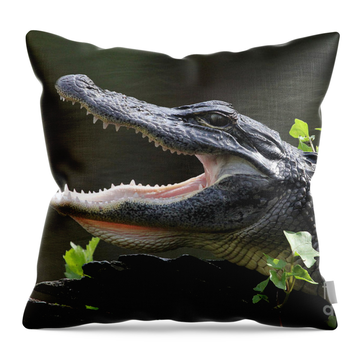American Alligator Throw Pillow featuring the photograph Say Aah - American Alligator by Meg Rousher