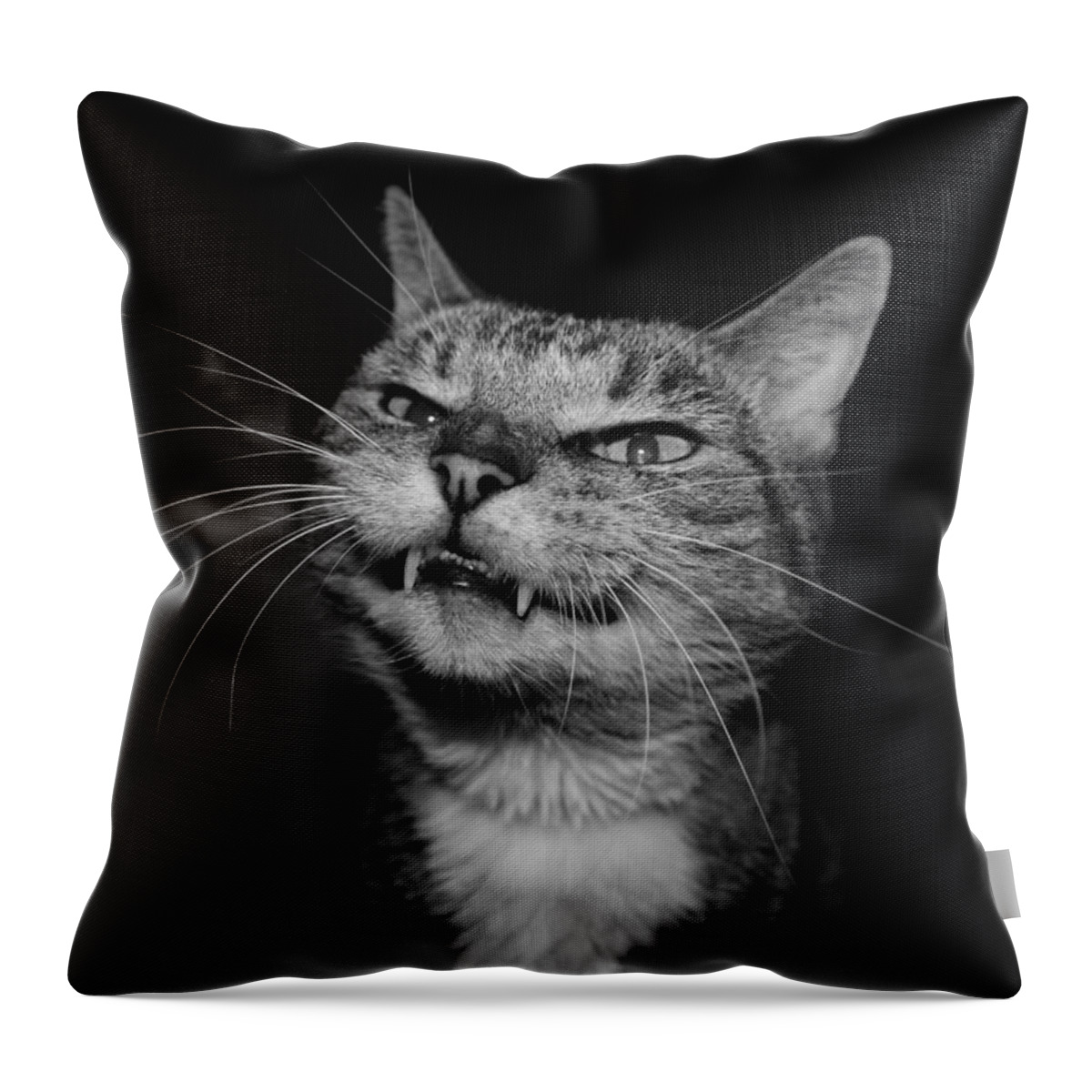 Cat Throw Pillow featuring the photograph Say Cheese by Catie Canetti