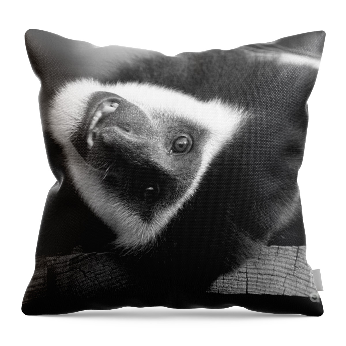 Colobus Throw Pillow featuring the photograph Say Cheese by Jayne Carney