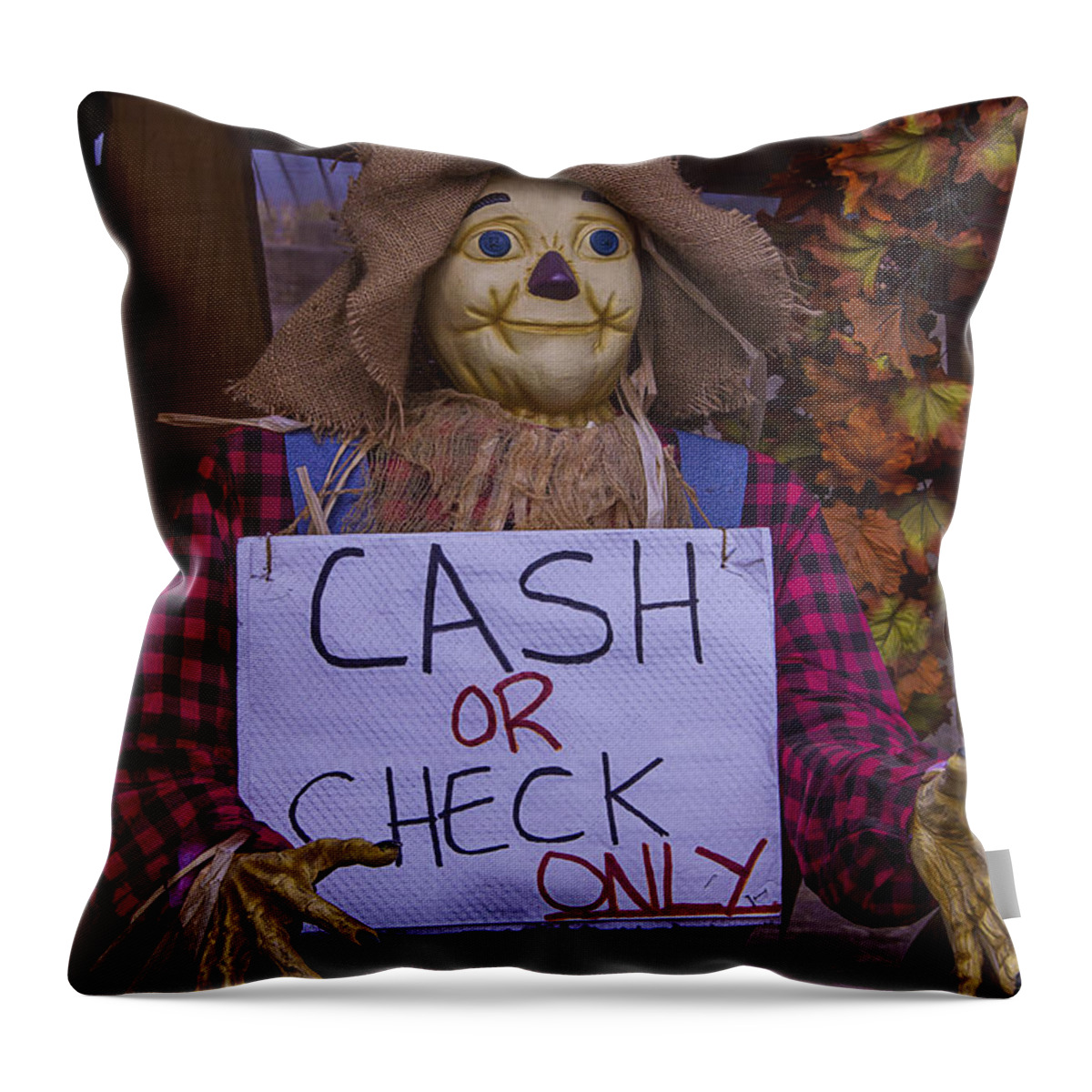 Scarecrow Throw Pillow featuring the photograph Scarecrow Holding Sign by Garry Gay