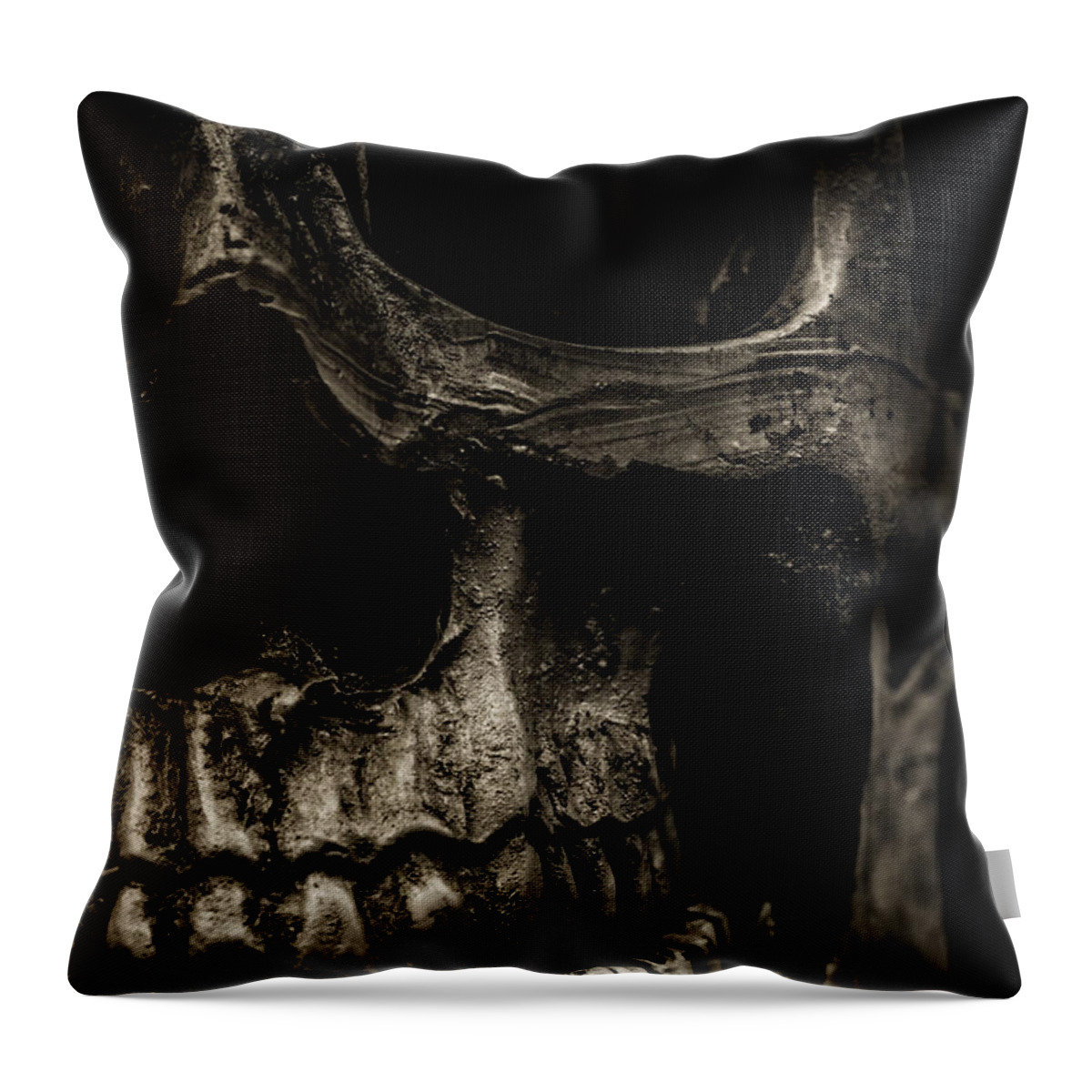 Still Life Throw Pillow featuring the photograph Scary Skull by Edward Fielding