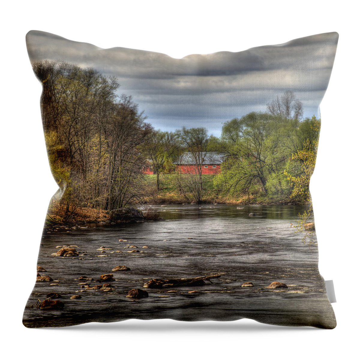 River Throw Pillow featuring the photograph Scenic River 2 by Thomas Young
