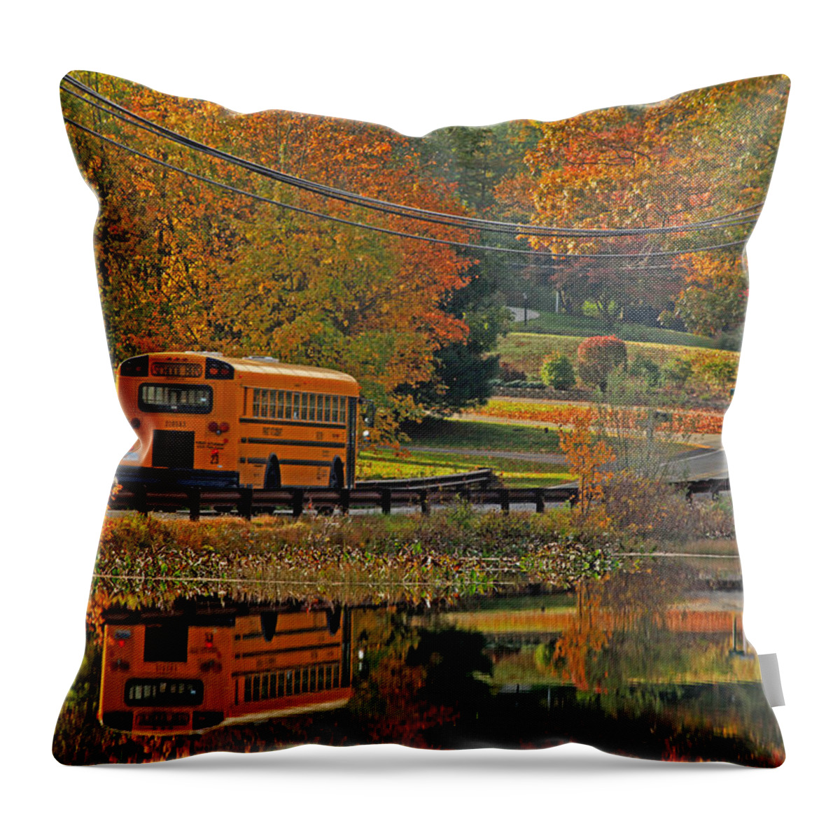 School Days Throw Pillow featuring the photograph School Days of Autumn by Karol Livote